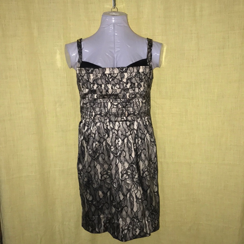 Bebe Lace Dress - Picture 1 of 4